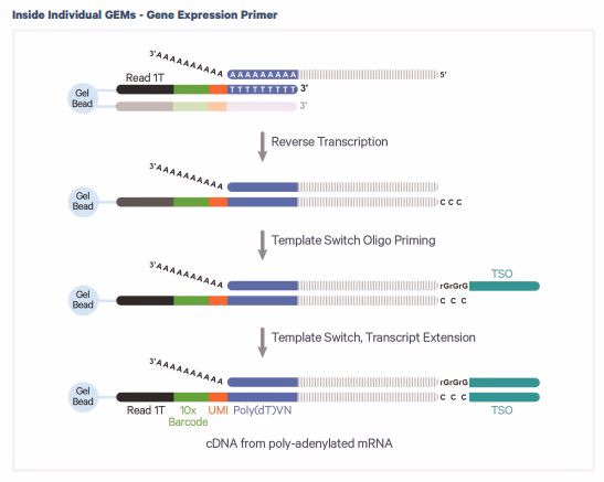 inside droplet reaction
