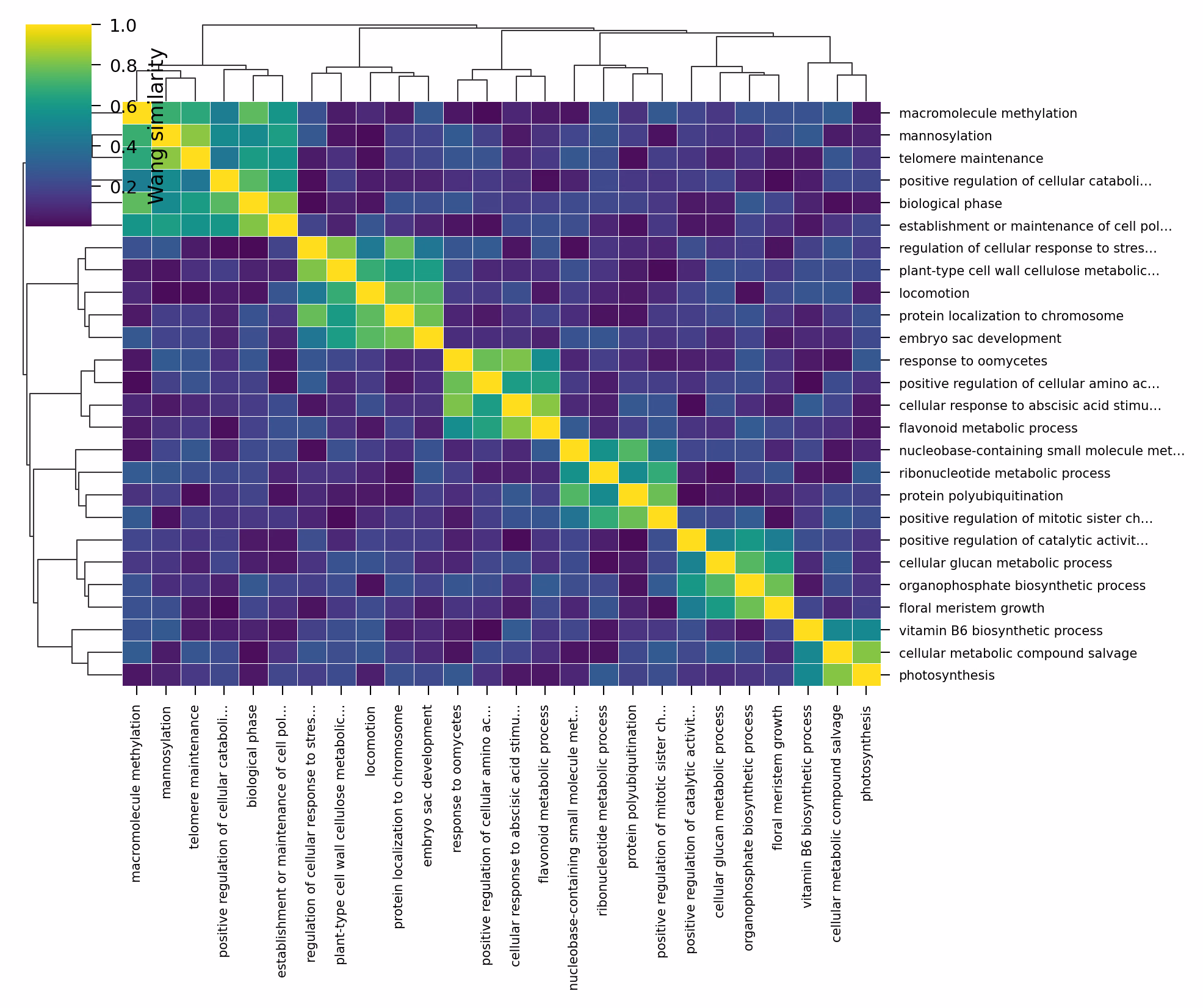 similarity-heatmap