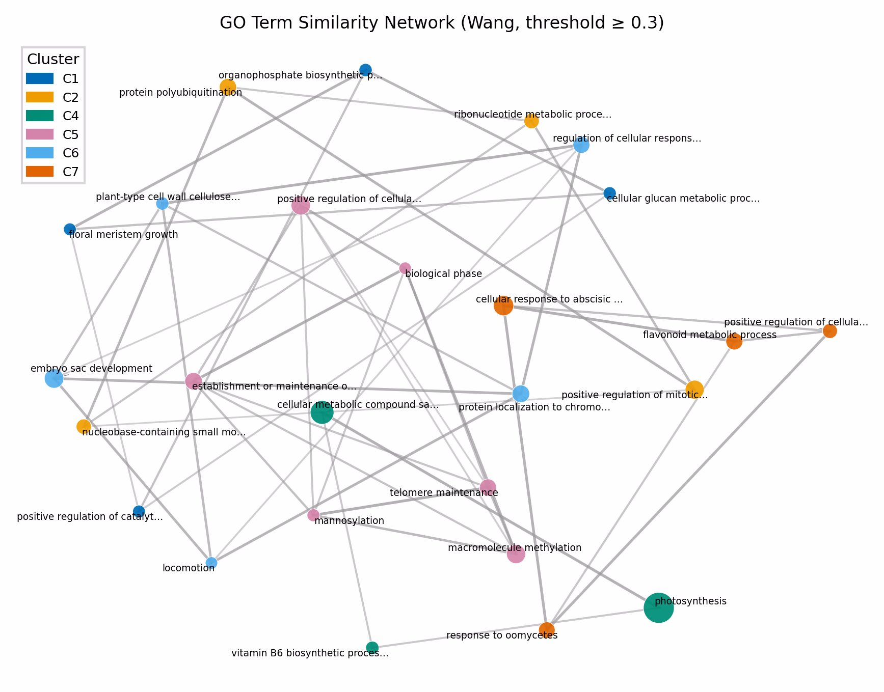 similarity-network